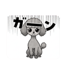 『トイプードル』のスタンプ（個別スタンプ：8）