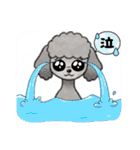 『トイプードル』のスタンプ（個別スタンプ：11）