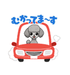 『トイプードル』のスタンプ（個別スタンプ：12）