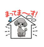 『トイプードル』のスタンプ（個別スタンプ：13）
