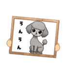 『トイプードル』のスタンプ（個別スタンプ：15）