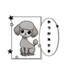 『トイプードル』のスタンプ（個別スタンプ：18）
