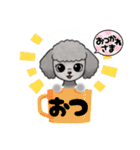 『トイプードル』のスタンプ（個別スタンプ：24）