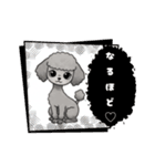 『トイプードル』のスタンプ（個別スタンプ：28）