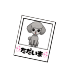 『トイプードル』のスタンプ（個別スタンプ：30）