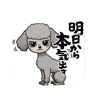 『トイプードル』のスタンプ（個別スタンプ：32）