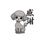 『トイプードル』のスタンプ（個別スタンプ：33）
