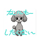 『トイプードル』のスタンプ（個別スタンプ：39）