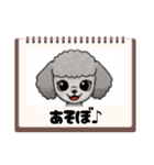 『トイプードル』のスタンプ（個別スタンプ：40）