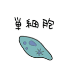 微生物の世界6 ミジンコのゆる日常会話 食（個別スタンプ：37）