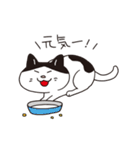 猫のマルチェロと仲間たち（個別スタンプ：1）