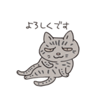 猫のマルチェロと仲間たち（個別スタンプ：4）
