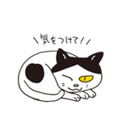 猫のマルチェロと仲間たち（個別スタンプ：23）