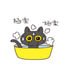 猫のマルチェロと仲間たち（個別スタンプ：31）