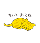 猫のマルチェロと仲間たち（個別スタンプ：34）