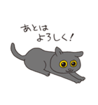猫のマルチェロと仲間たち（個別スタンプ：35）
