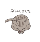 猫のマルチェロと仲間たち（個別スタンプ：38）