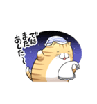 丸いネコ 普段使い用スタンプ（個別スタンプ：3）