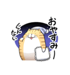 丸いネコ 普段使い用スタンプ（個別スタンプ：4）