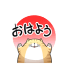 丸いネコ 普段使い用スタンプ（個別スタンプ：5）