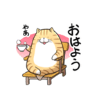 丸いネコ 普段使い用スタンプ（個別スタンプ：7）