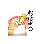 丸いネコ 普段使い用スタンプ（個別スタンプ：8）