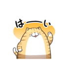 丸いネコ 普段使い用スタンプ（個別スタンプ：9）