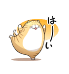 丸いネコ 普段使い用スタンプ（個別スタンプ：11）