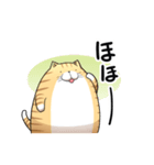 丸いネコ 普段使い用スタンプ（個別スタンプ：13）