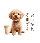 トイプードルの敬語・丁寧語スタンプ（個別スタンプ：3）
