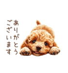 トイプードルの敬語・丁寧語スタンプ（個別スタンプ：7）