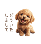 トイプードルの敬語・丁寧語スタンプ（個別スタンプ：10）