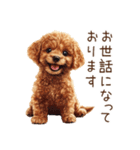 トイプードルの敬語・丁寧語スタンプ（個別スタンプ：12）