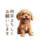 トイプードルの敬語・丁寧語スタンプ（個別スタンプ：13）