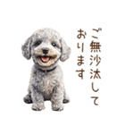トイプードルの敬語・丁寧語スタンプ（個別スタンプ：15）