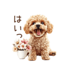トイプードルの敬語・丁寧語スタンプ（個別スタンプ：19）