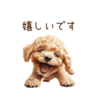 トイプードルの敬語・丁寧語スタンプ（個別スタンプ：21）