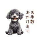 トイプードルの敬語・丁寧語スタンプ（個別スタンプ：24）
