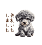 トイプードルの敬語・丁寧語スタンプ（個別スタンプ：27）