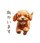 トイプードルの敬語・丁寧語スタンプ（個別スタンプ：29）