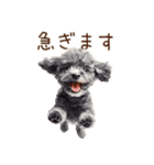 トイプードルの敬語・丁寧語スタンプ（個別スタンプ：30）