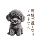 トイプードルの敬語・丁寧語スタンプ（個別スタンプ：34）