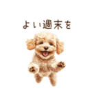 トイプードルの敬語・丁寧語スタンプ（個別スタンプ：38）