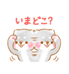 家族で使う❤️いやしばいぬ黒柴❤️父母の日（個別スタンプ：13）