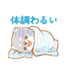 家族で使う❤️いやしばいぬ黒柴❤️父母の日（個別スタンプ：33）