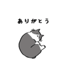カラフルふにゃネコ（個別スタンプ：1）
