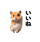 踊る！ハムちゃん（個別スタンプ：6）