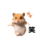 踊る！ハムちゃん（個別スタンプ：14）