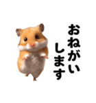 踊る！ハムちゃん（個別スタンプ：19）