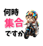 ツーリング♡バイク好き (春夏)（個別スタンプ：10）